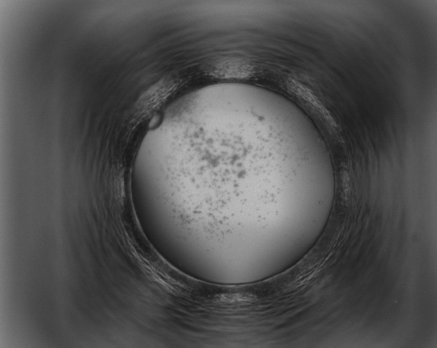 X0000052650541200507160226