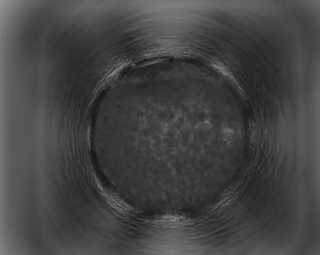 X0000052650542200507160226