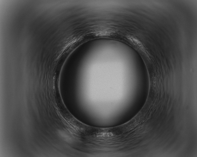 X0000052650543200507160226