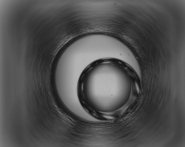 X0000052650544200507160226