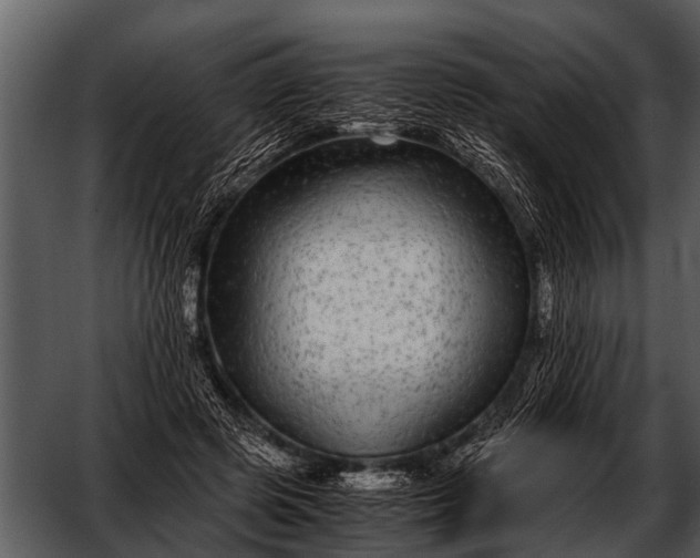 X0000052650545200507160226