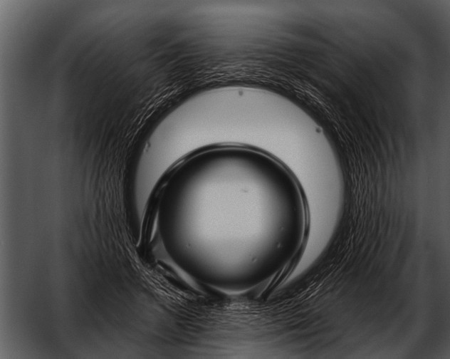 X0000052650546200507160226