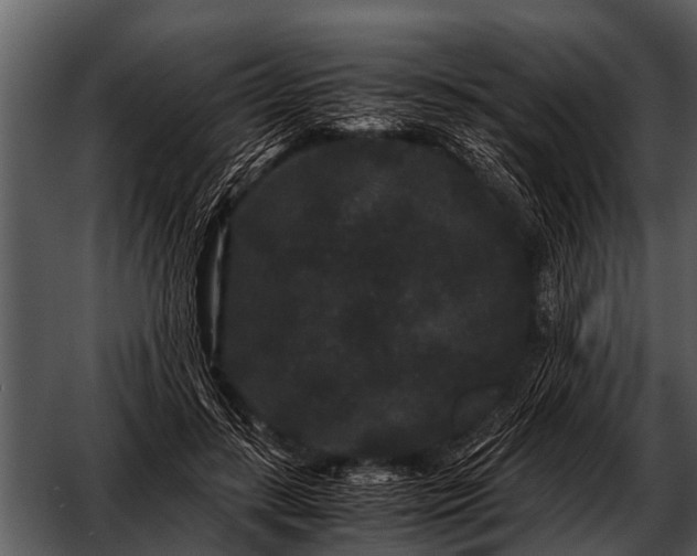 X0000052650547200507160226