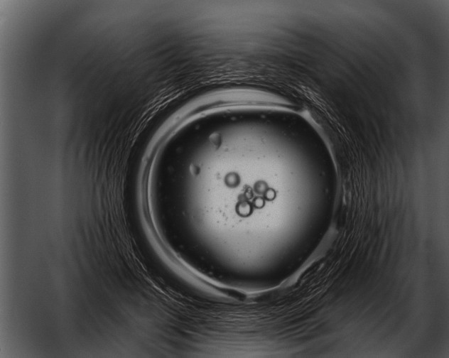 X0000052650548200507160226