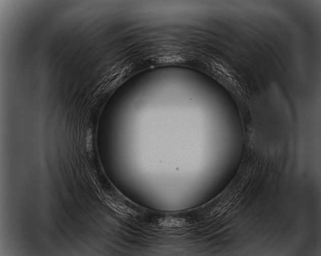 X0000052650549200507160226