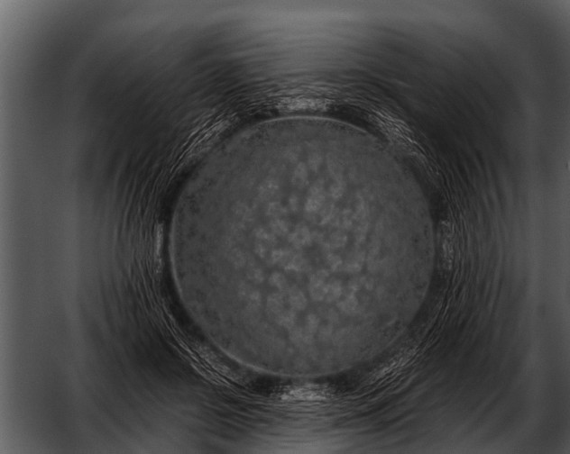 X0000052650550200507160226