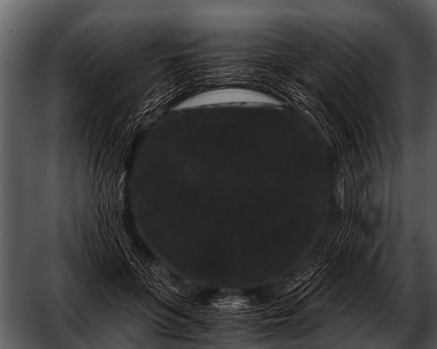 X0000052650551200507160226