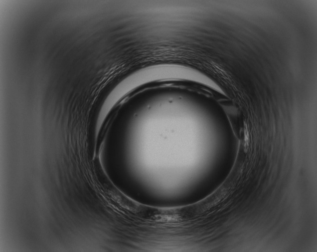 X0000052650552200507160226