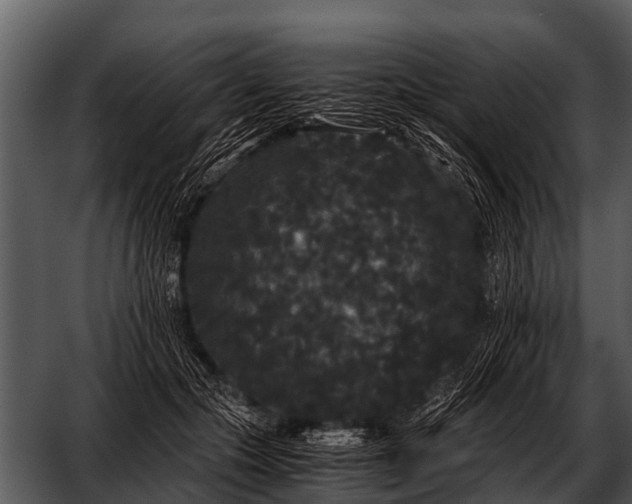 X0000052650553200507160226