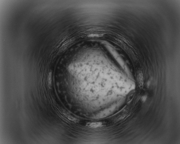 X0000052650554200507160226