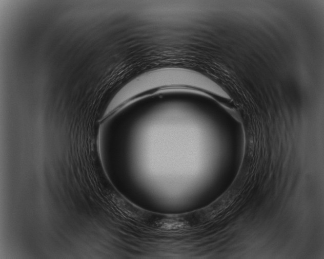 X0000052650555200507160226