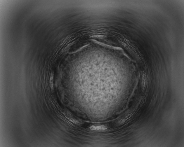 X0000052650557200507160226