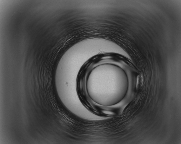 X0000052650559200507160226