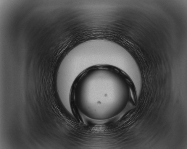 X0000052650560200507160226