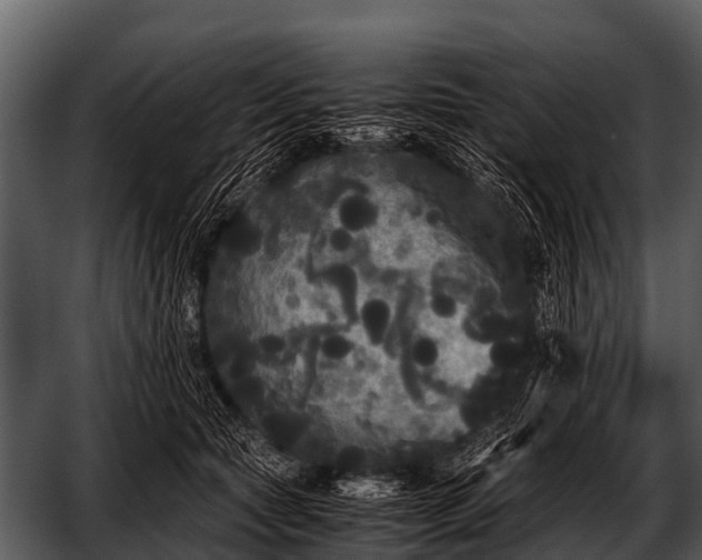 X0000052650561200507160226