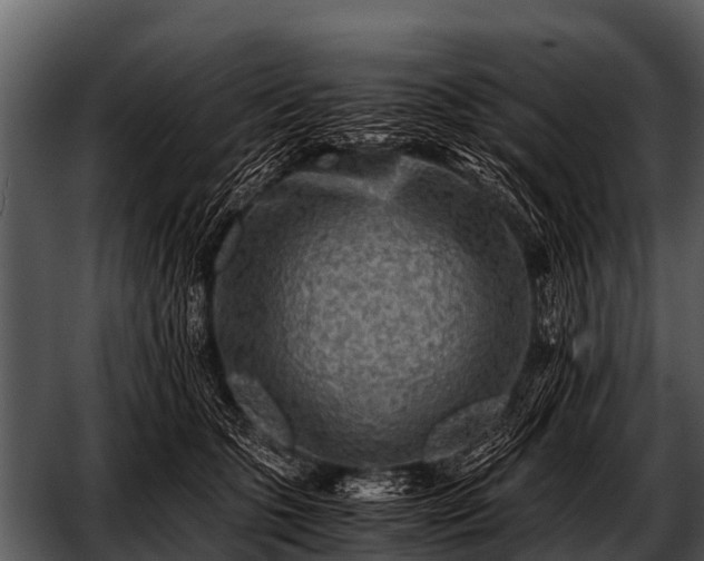 X0000052650563200507160226