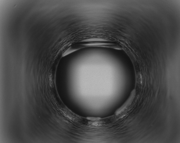 X0000052650564200507160226