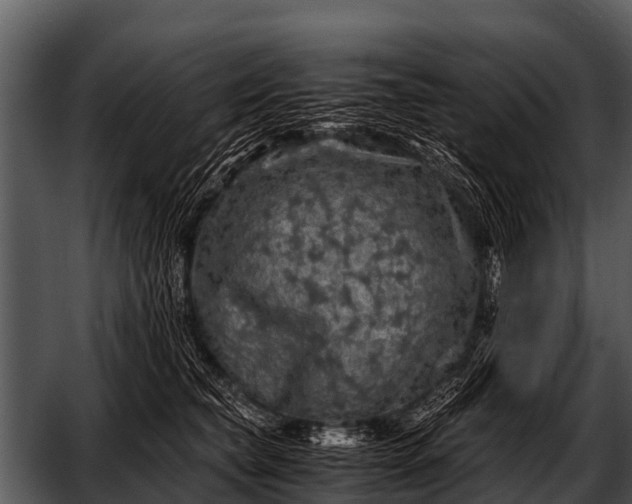 X0000052650565200507160226