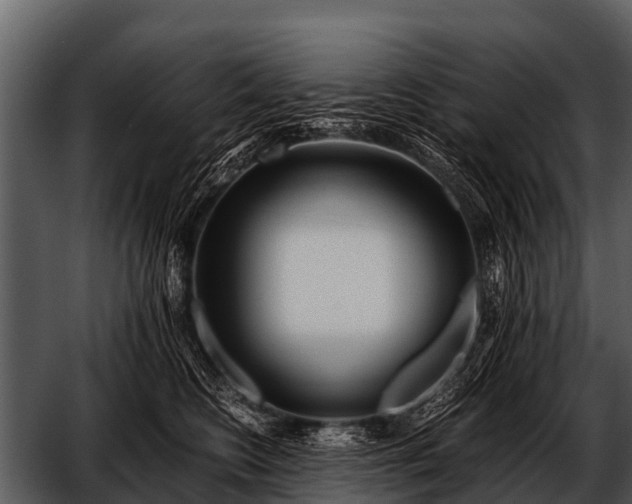 X0000052650566200507160226