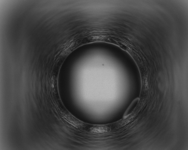 X0000052650567200507160226