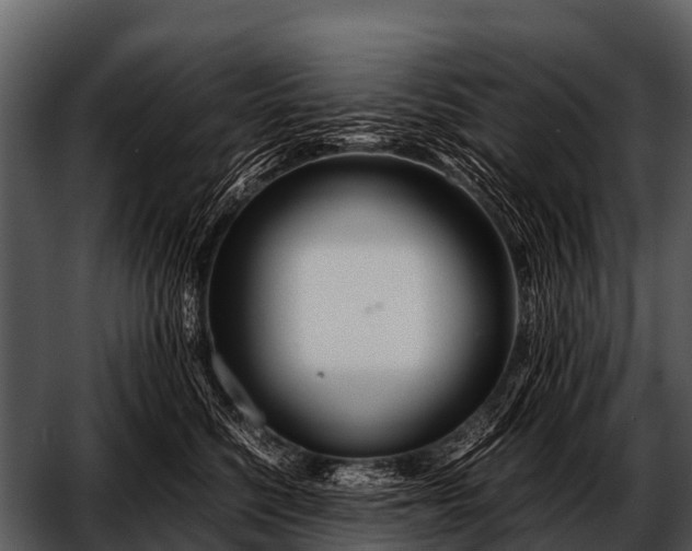 X0000052650568200507160226