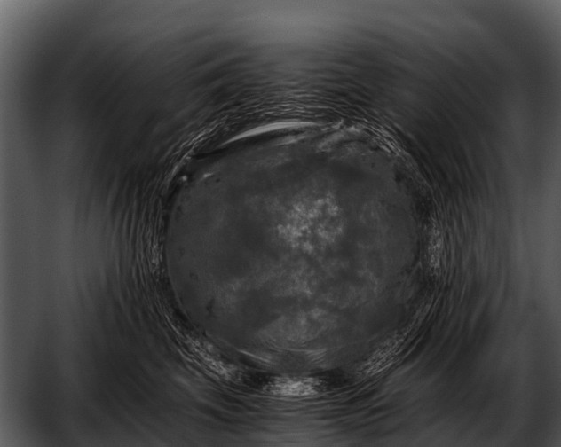 X0000052650569200507160226