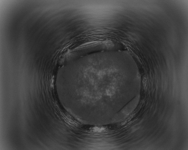 X0000052650570200507160226