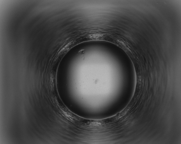 X0000052650572200507160226