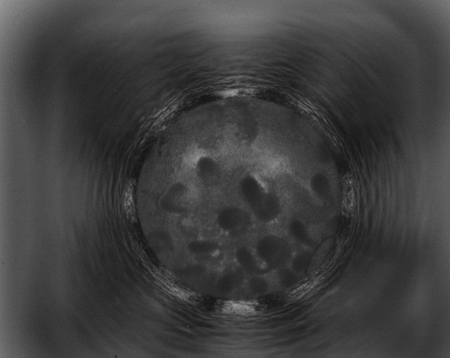 X0000052650573200507160226