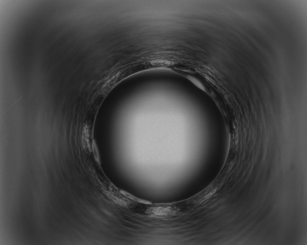 X0000052650575200507160226