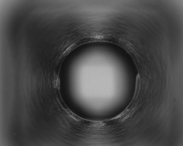 X0000052650576200507160226