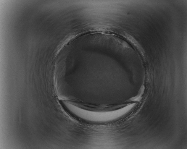 X0000052650577200507160225