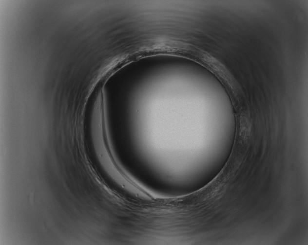 X0000052650578200507160225