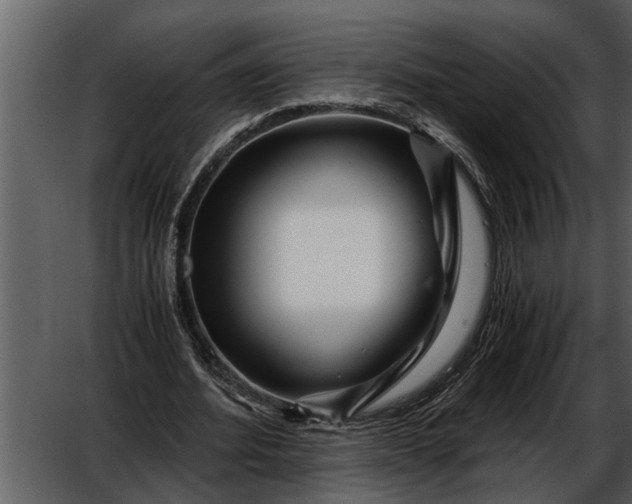 X0000052650580200507160225