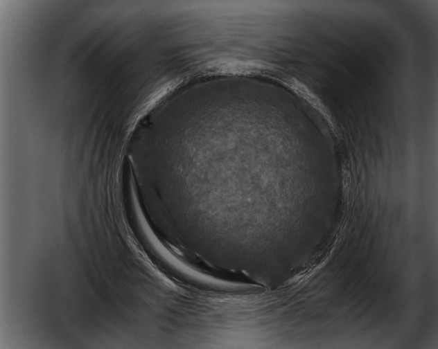 X0000052650581200507160225