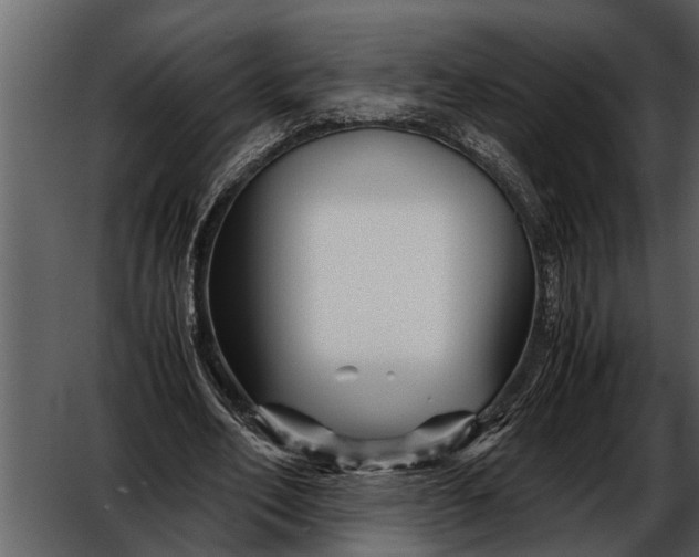 X0000052650582200507160225