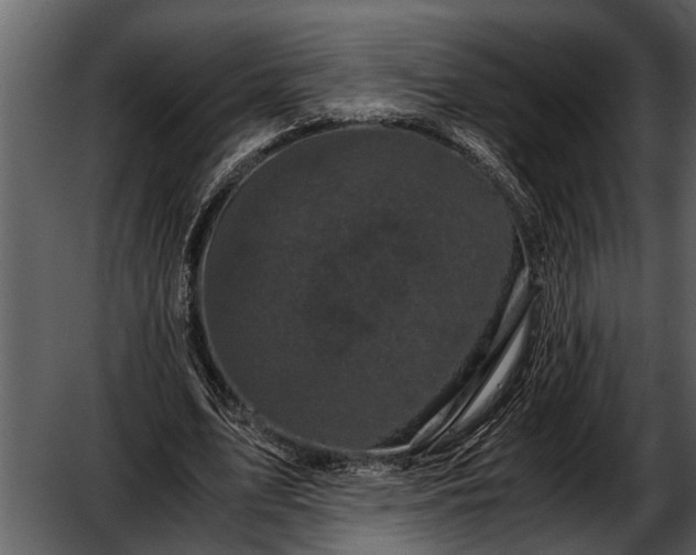 X0000052650583200507160225