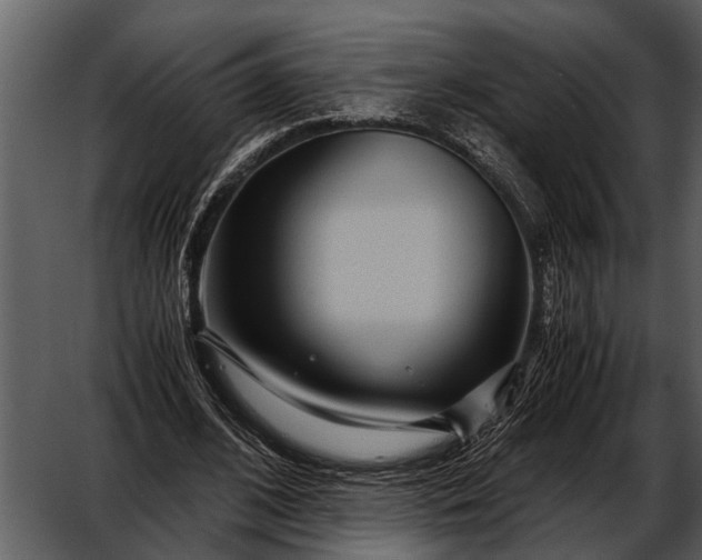 X0000052650584200507160225