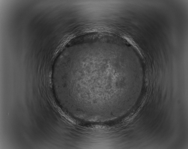 X0000052650585200507160225