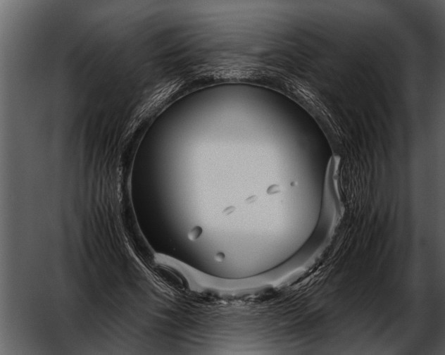 X0000052650586200507160225