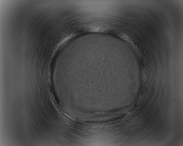 X0000052650587200507160225