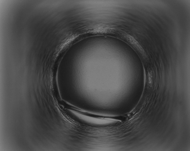 X0000052650588200507160225