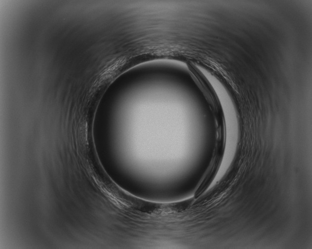 X0000052650589200507160225