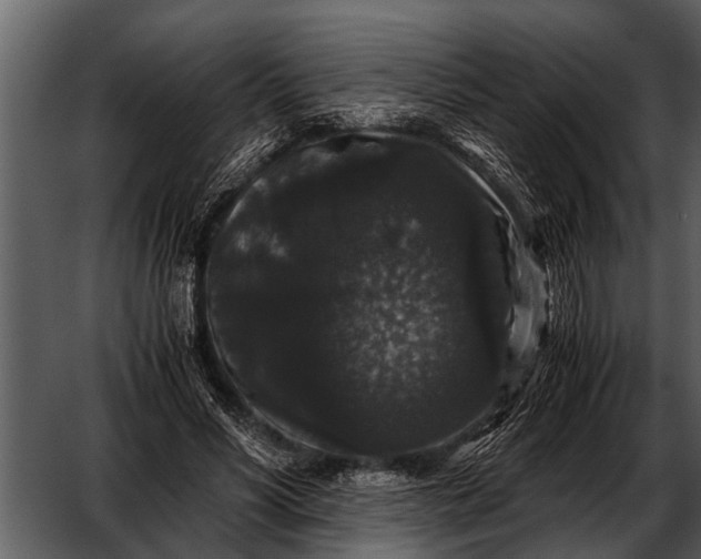 X0000052650590200507160225