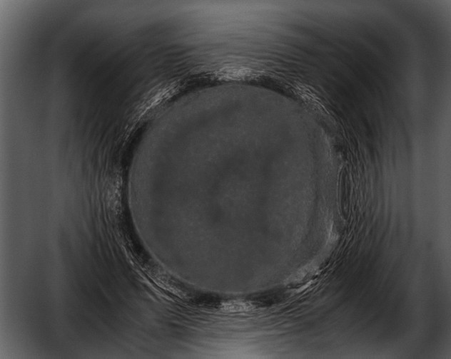 X0000052650591200507160225