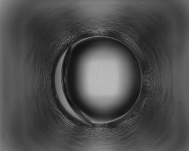 X0000052650593200507160225