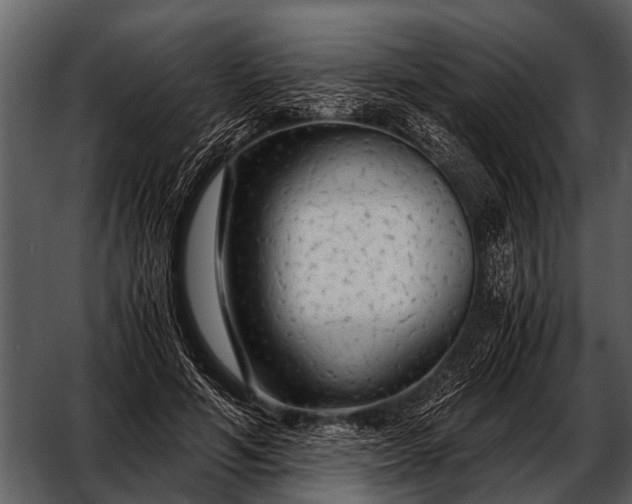 X0000052650594200507160225