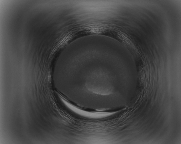 X0000052650595200507160225