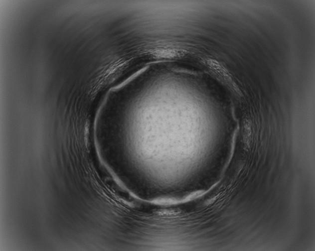 X0000052650596200507160225