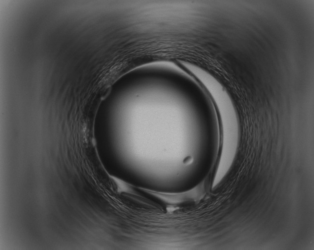 X0000052650597200507160225